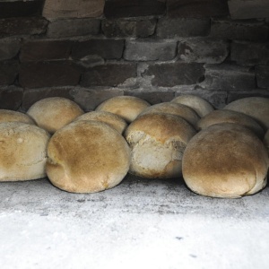 Mietitura del grano e trebbiatura con i buoi, cottura del pane