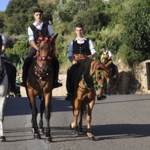 Festa di San Lussorio, cavalli in processione