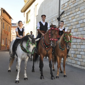 Festa di San Lussorio, cavalli in processione