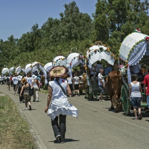 Festa di Sant’Antonio da Padova, processione (foto Gianfranco Deidda)