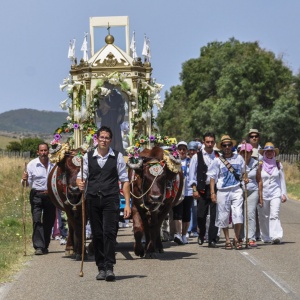 Festa di Sant’Antonio da Padova, processione