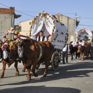 Festa di Sant’Antonio da Padova, processione