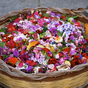 Festa di Sant’Antonio da Padova, fiori