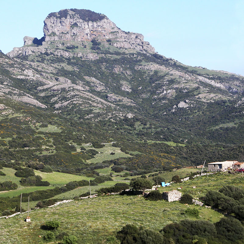 Mount Arcuentu (photo Digital Photonet)