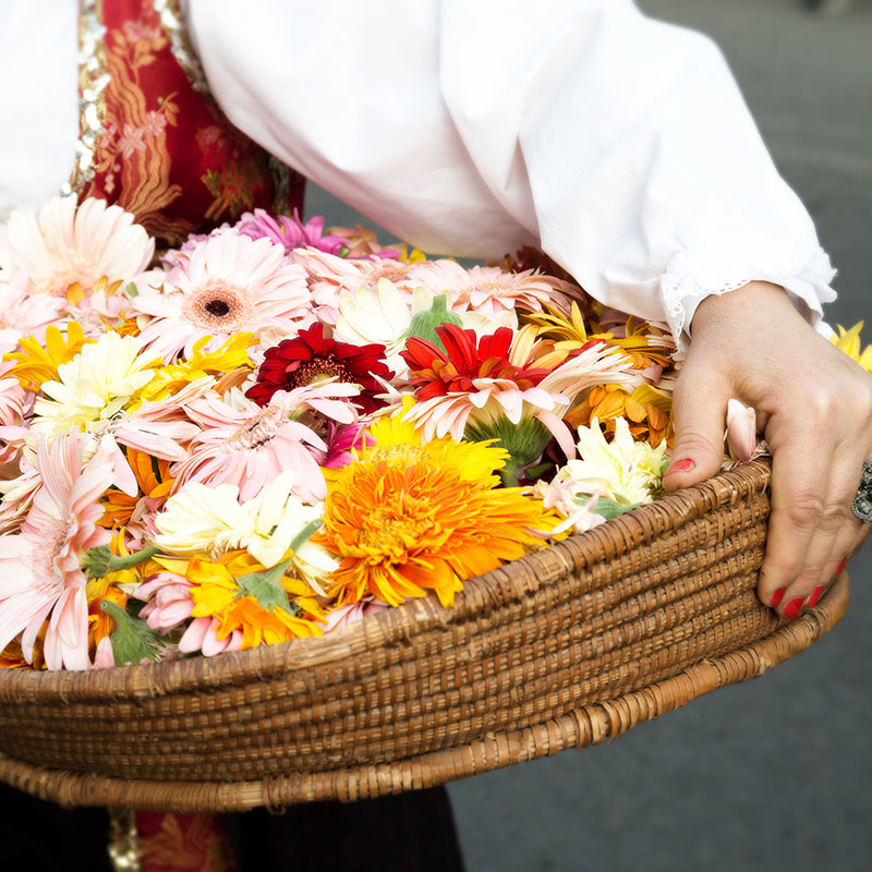 Saint Anthony's Festival (photo Digital Photonet)