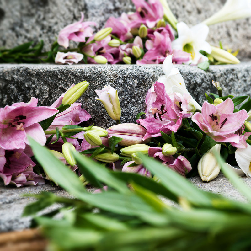 Infiorata (photo Digital Photonet)