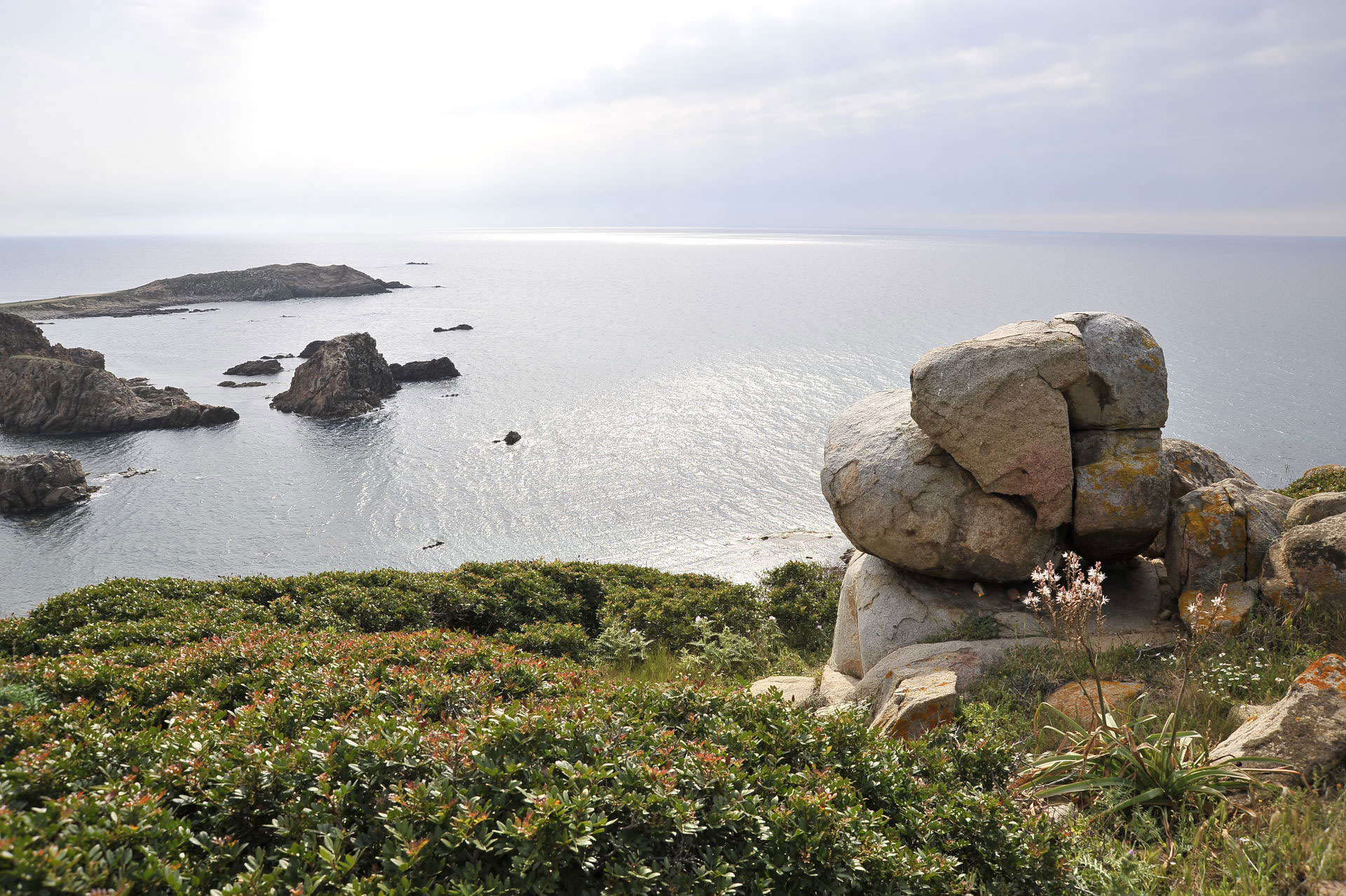 Capo Pecora