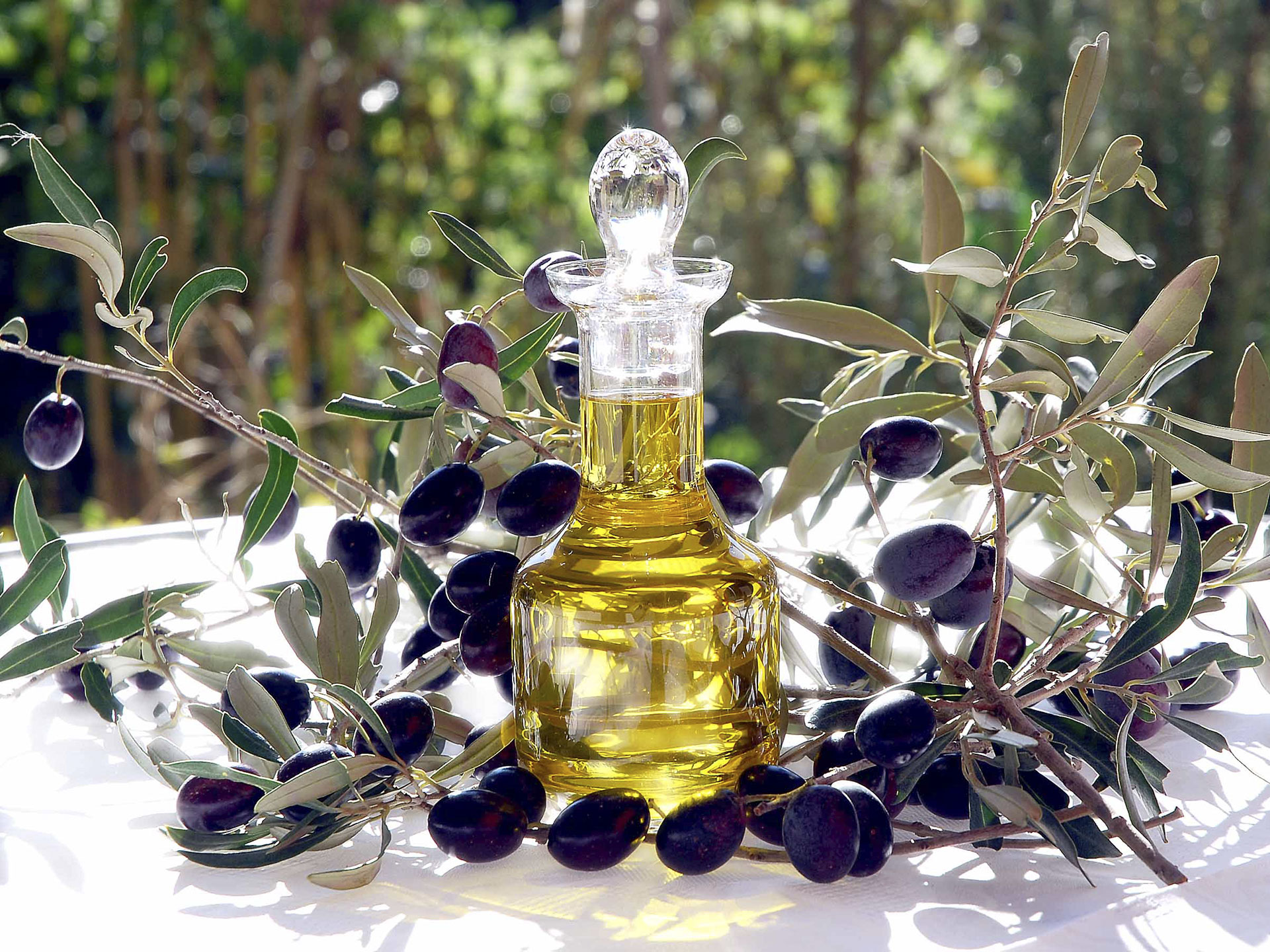 Olio e olive