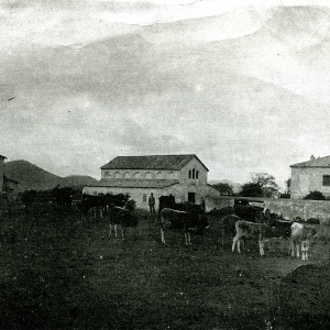Gennamari, fattoria Gragonti (foto Digital Photonet)