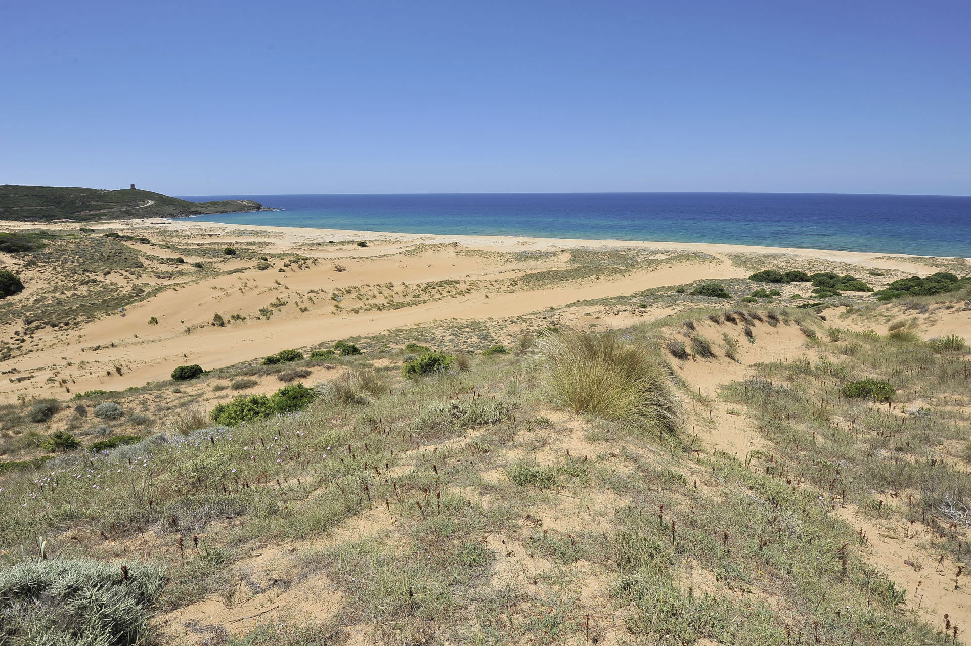 SIC Is Arenas s'Acua and s'Ollastu