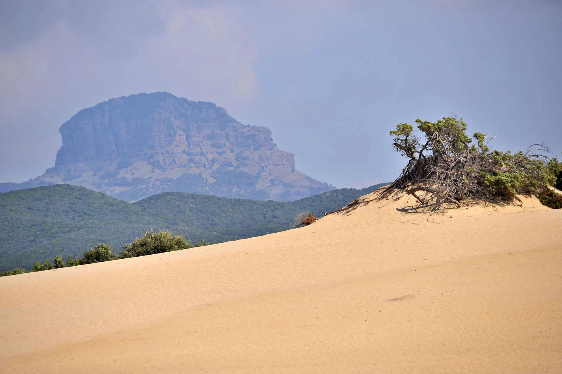 SIC Monte Arcuentu and Rio Piscinas