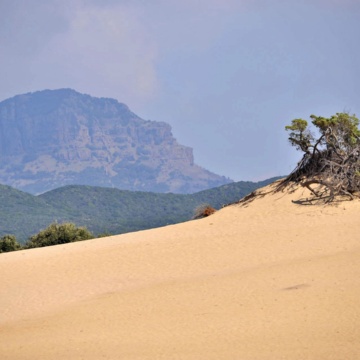 Dunes de Piscinas et en arrière-plan Mt. Arcuentu (photo Ivo Piras)