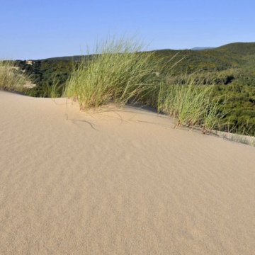 Dune di Piscinas (foto Ivo Piras)