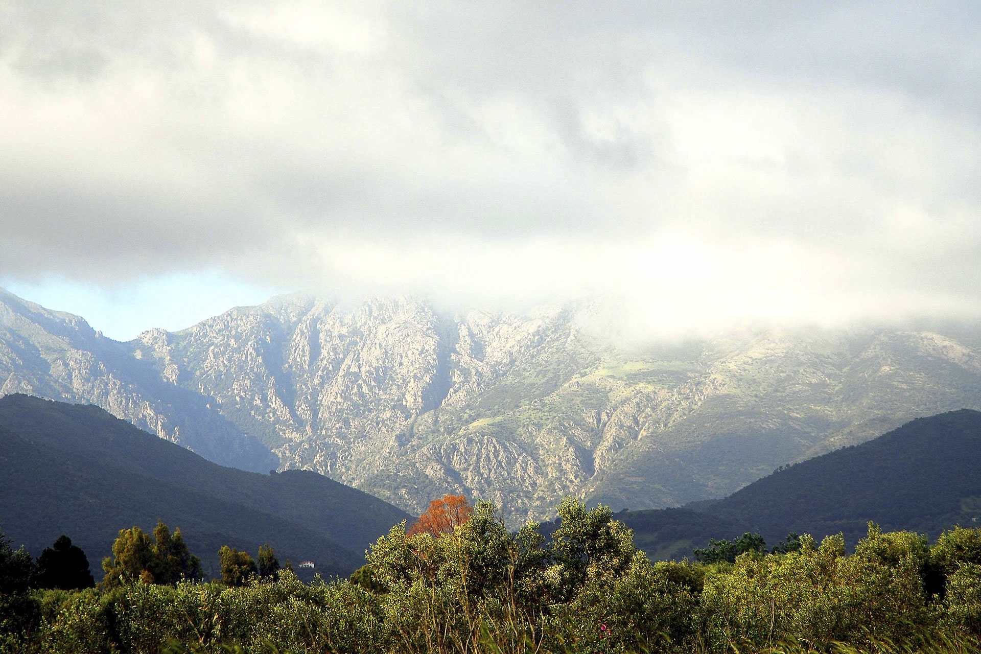 Mount Linas