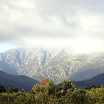 Mount Linas (photo Ivo Piras)