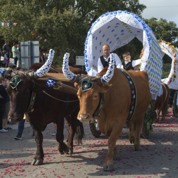 Fiesta de San Antonio (foto Digital Photonet Arbus)