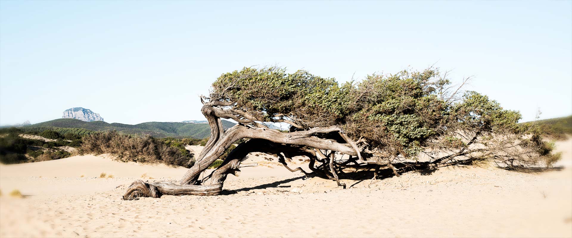 ArbusTurismo - Dune di Piscinas (foto Digital Photonet Arbus)