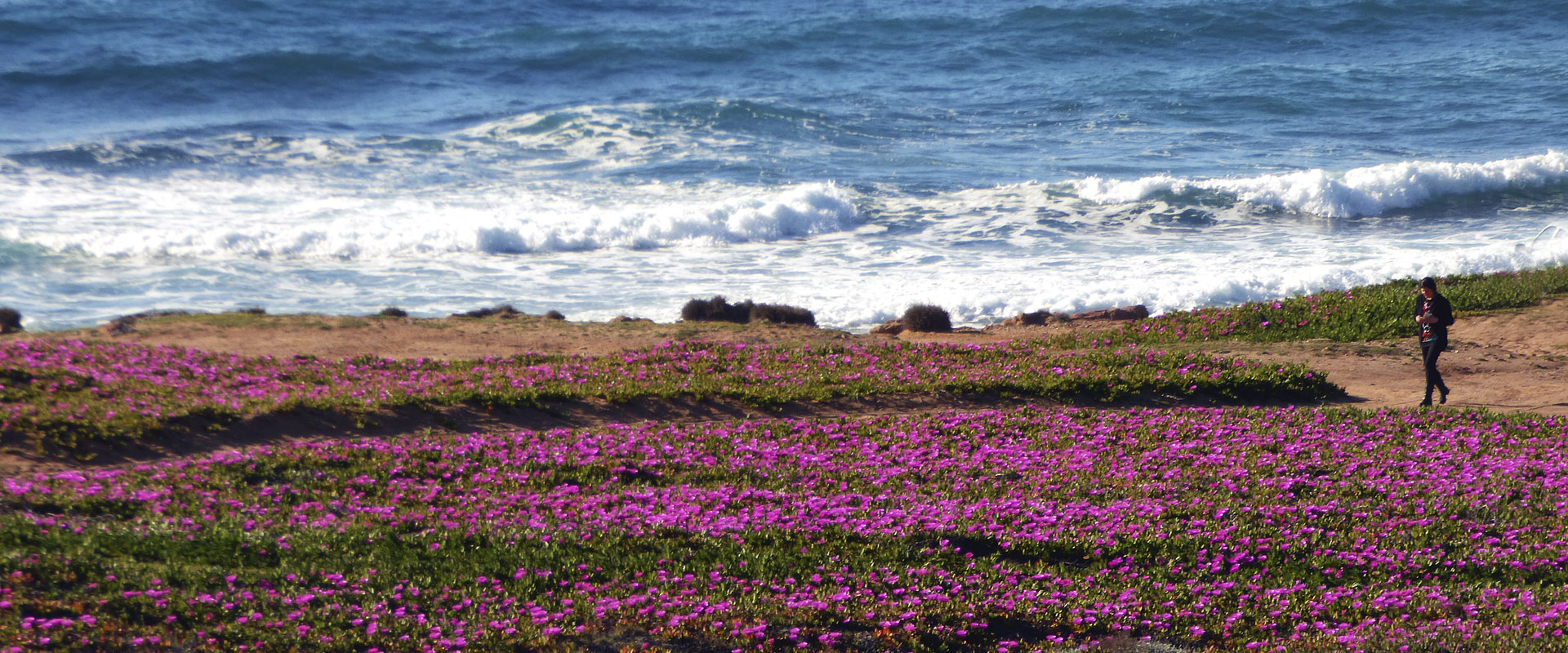 ArbusTurismo - Costa Verde (foto Ornella Locatelli)