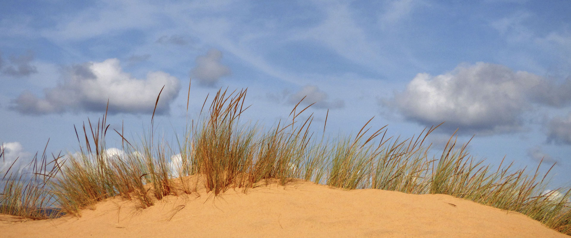 ArbusTurismo - Dunas de Piscinas (foto Ornella Locatelli)